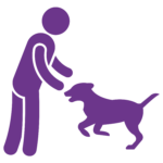 Rückruf - Hundeschule - Training für Mensch und Hund bei Pfotenalarm