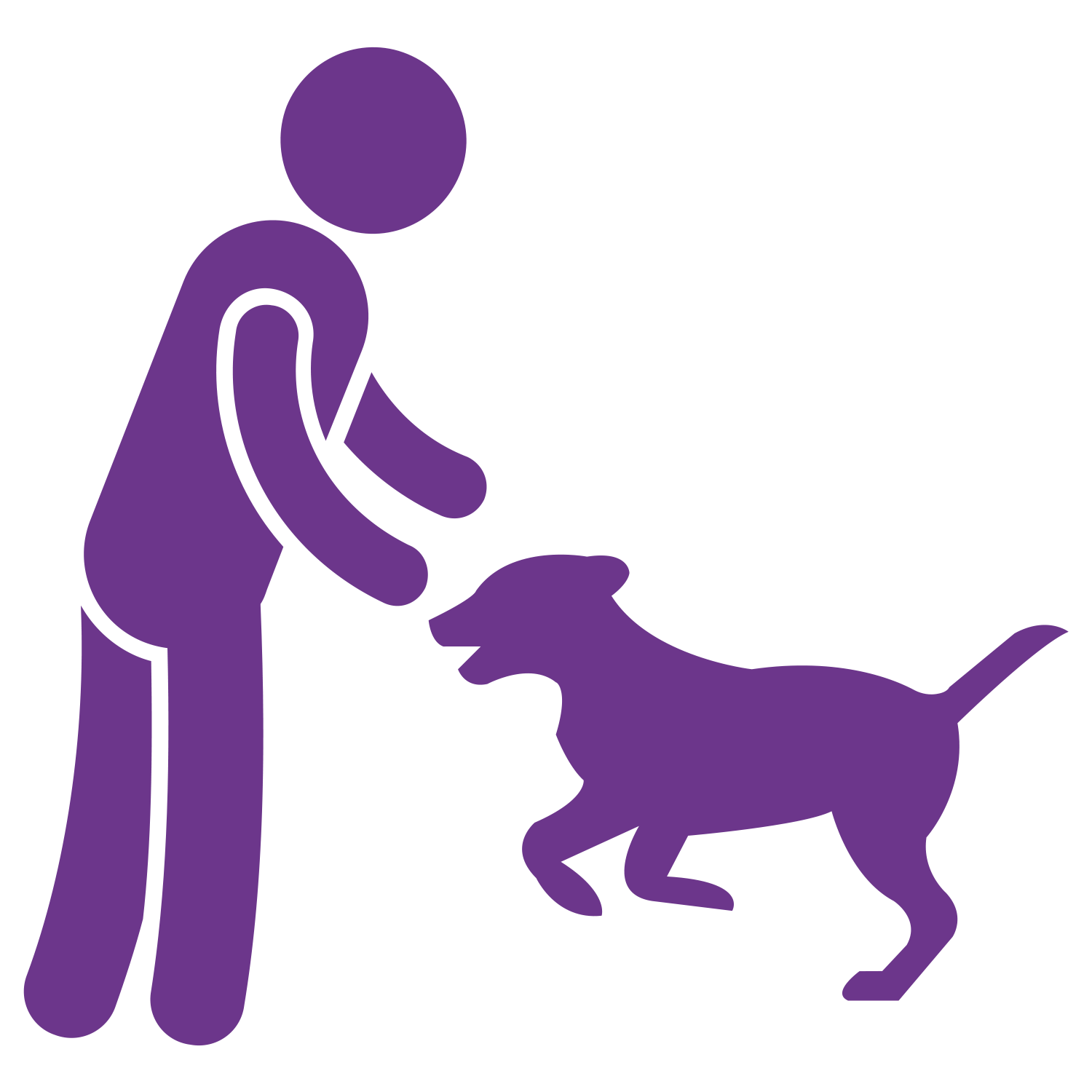 Rückruf - Hundeschule - Training für Mensch und Hund bei Pfotenalarm