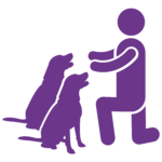 Einzeltraining - Hundeschule - Training für Mensch und Hund bei Pfotenalarm